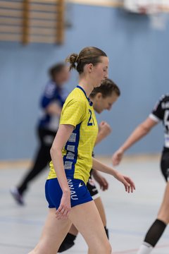 Bild 217 - F HSG Pinnau2 - Rellinger TV2 : Ergebnis: 27:20